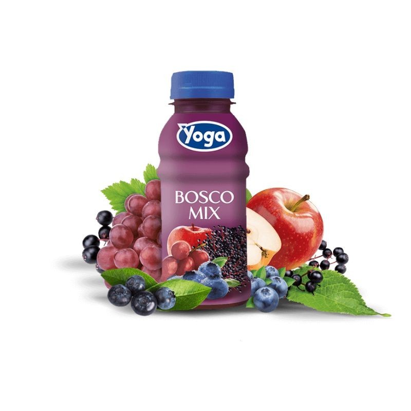 Succo di Frutta Bosco Mix Yoga Pet 250ml 12pz