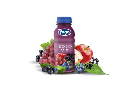 Succo di Frutta Bosco Mix Yoga Pet 250ml 12pz